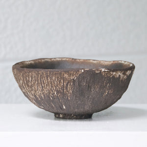 Earth Texture Bowl